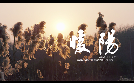 暖陽