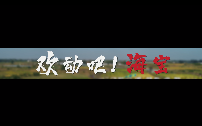 歡動吧，海寶